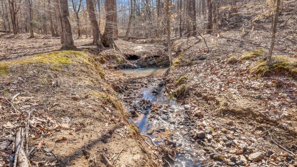 407 Spinnaker Way, Moneta, Virginia image 32