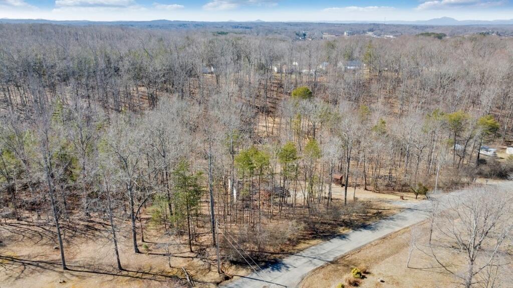 407 Spinnaker Way, Moneta, Virginia image 45
