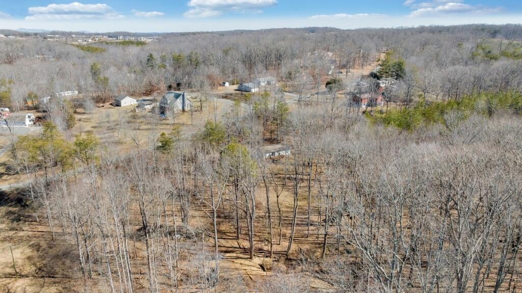 407 Spinnaker Way, Moneta, Virginia image 43
