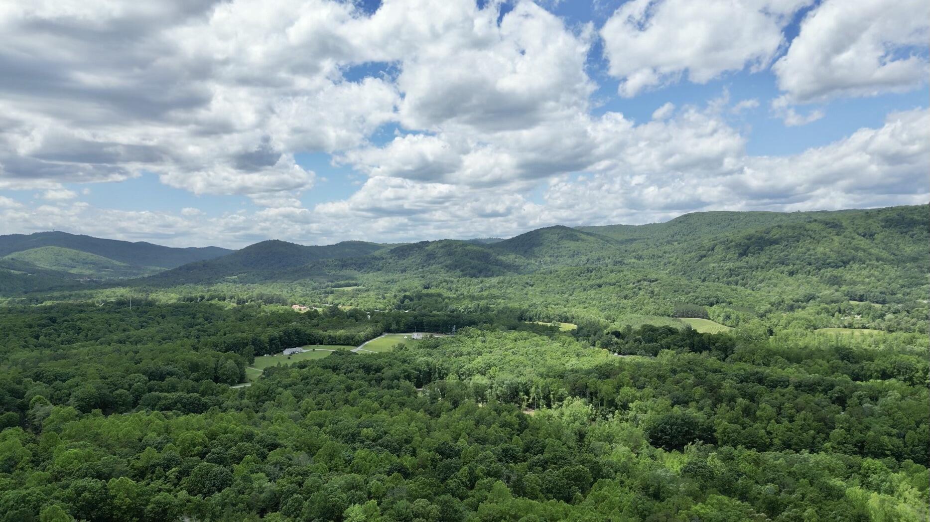 Tract 11 Country Ln, Thaxton, Virginia image 3