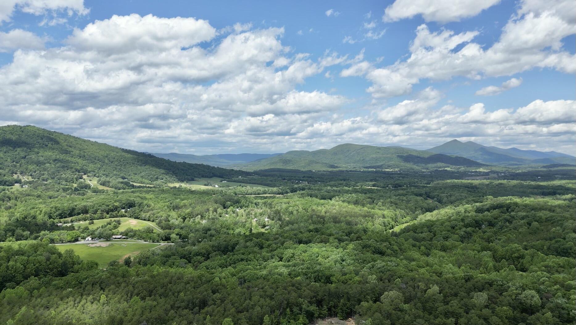 Tract 11 Country Ln, Thaxton, Virginia image 1