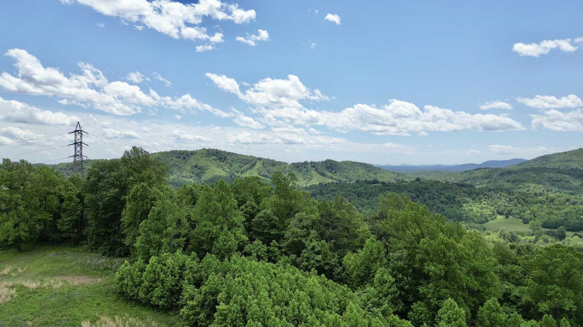 Tract 11 Country Ln, Thaxton, Virginia image 4