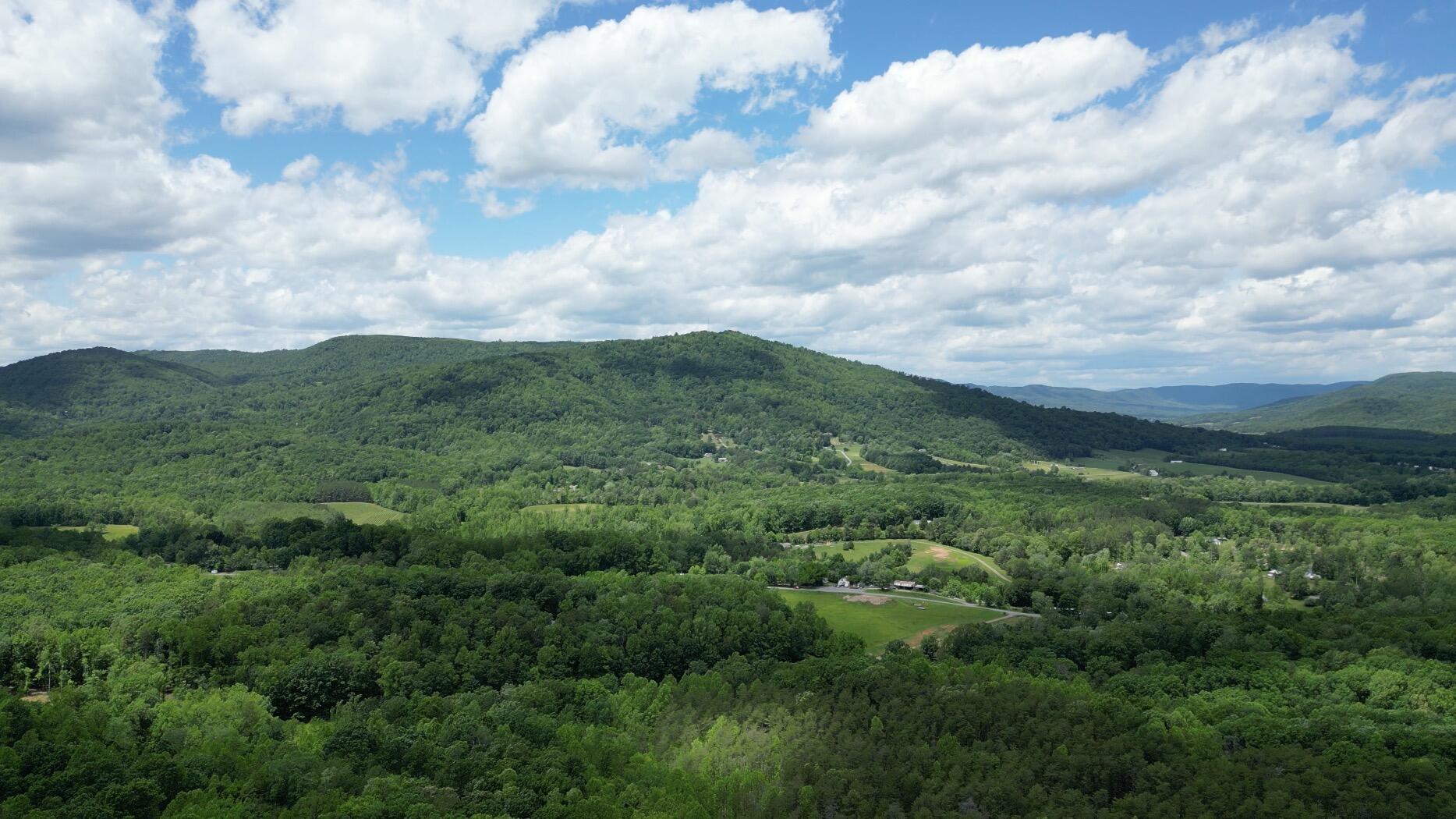 Tract 11 Country Ln, Thaxton, Virginia image 10