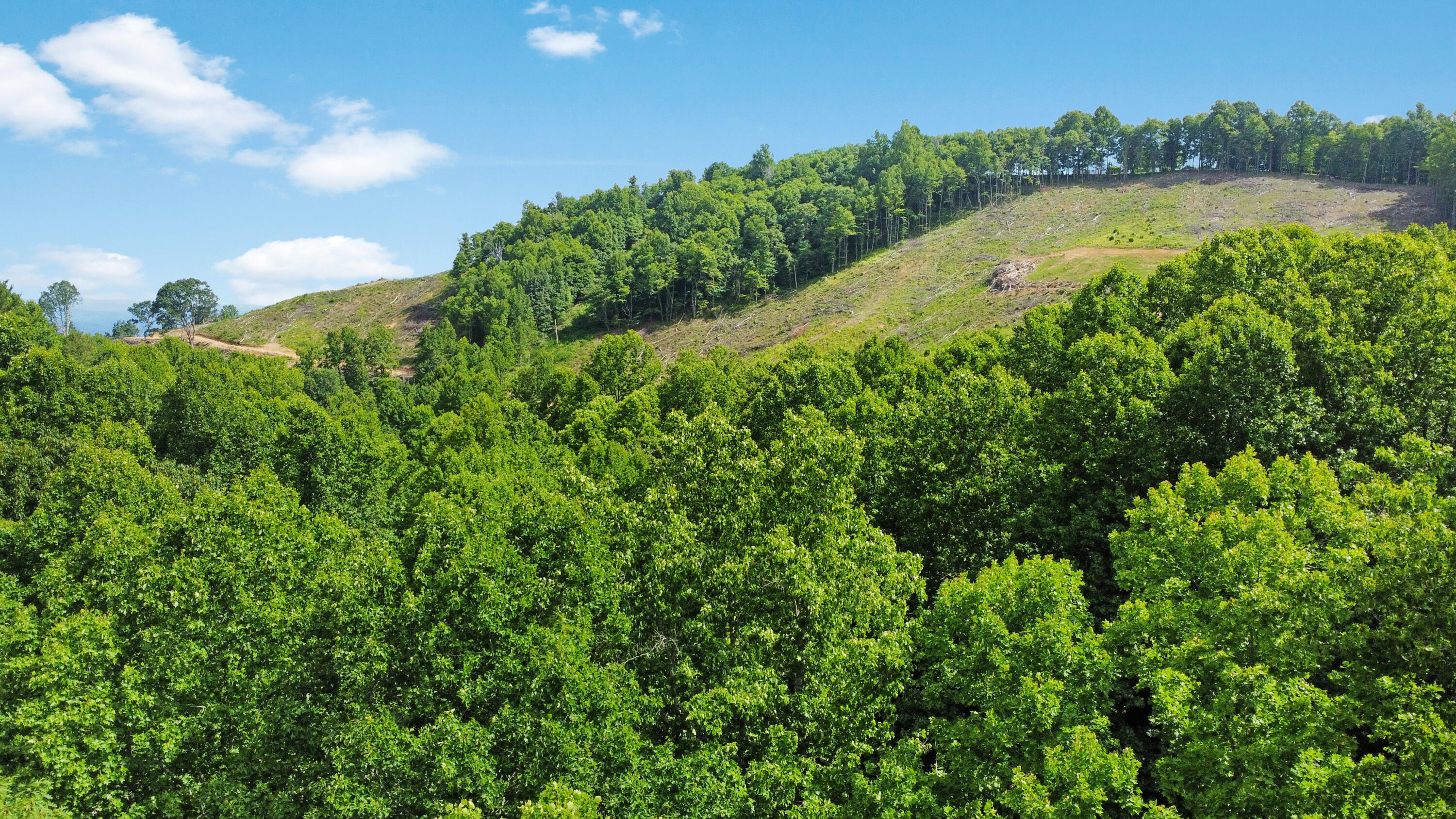 TBD Slings Gap Rd, Bent Mountain, Virginia image 30