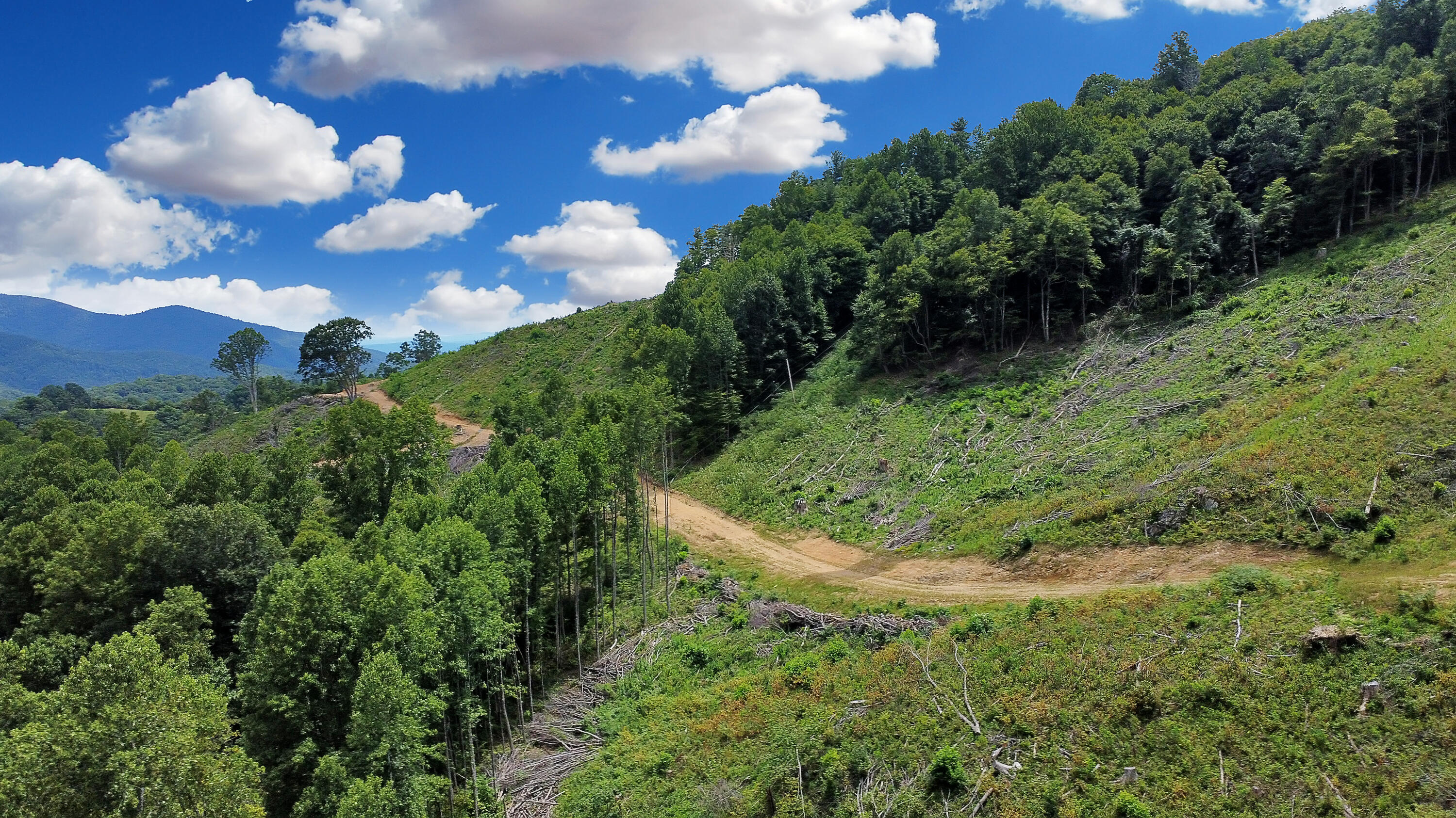 TBD Slings Gap Rd, Bent Mountain, Virginia image 31