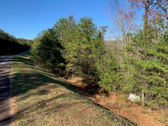 Lot 385 Penninsula Pointe, Lynch Station, Virginia image 2