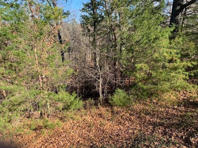 Lot 385 Penninsula Pointe, Lynch Station, Virginia image 3
