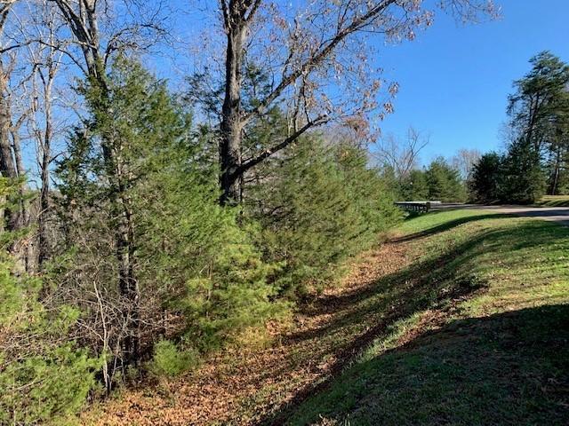 Lot 385 Penninsula Pointe, Lynch Station, Virginia image 4