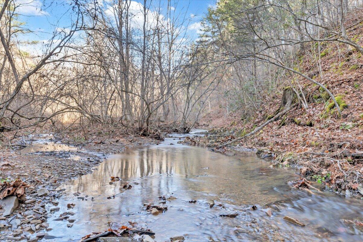 Overlook Way, Clifton Forge, Virginia image 18