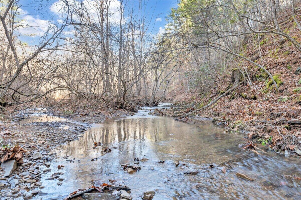 Overlook Way, Clifton Forge, Virginia image 19