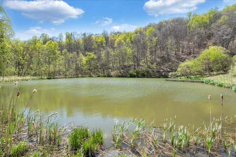 Vacant Land For Sale - Short Hill Dr<br/> Buchanan, VA 24066