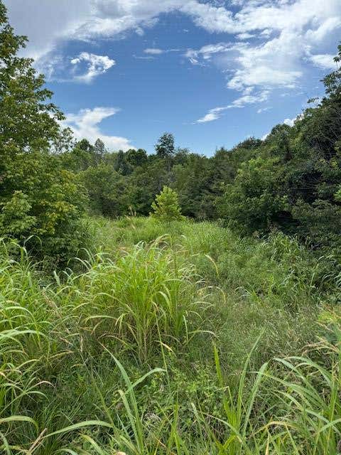 Vacant Land For Sale - Moneta Rd<br/> Bedford, VA 24523
