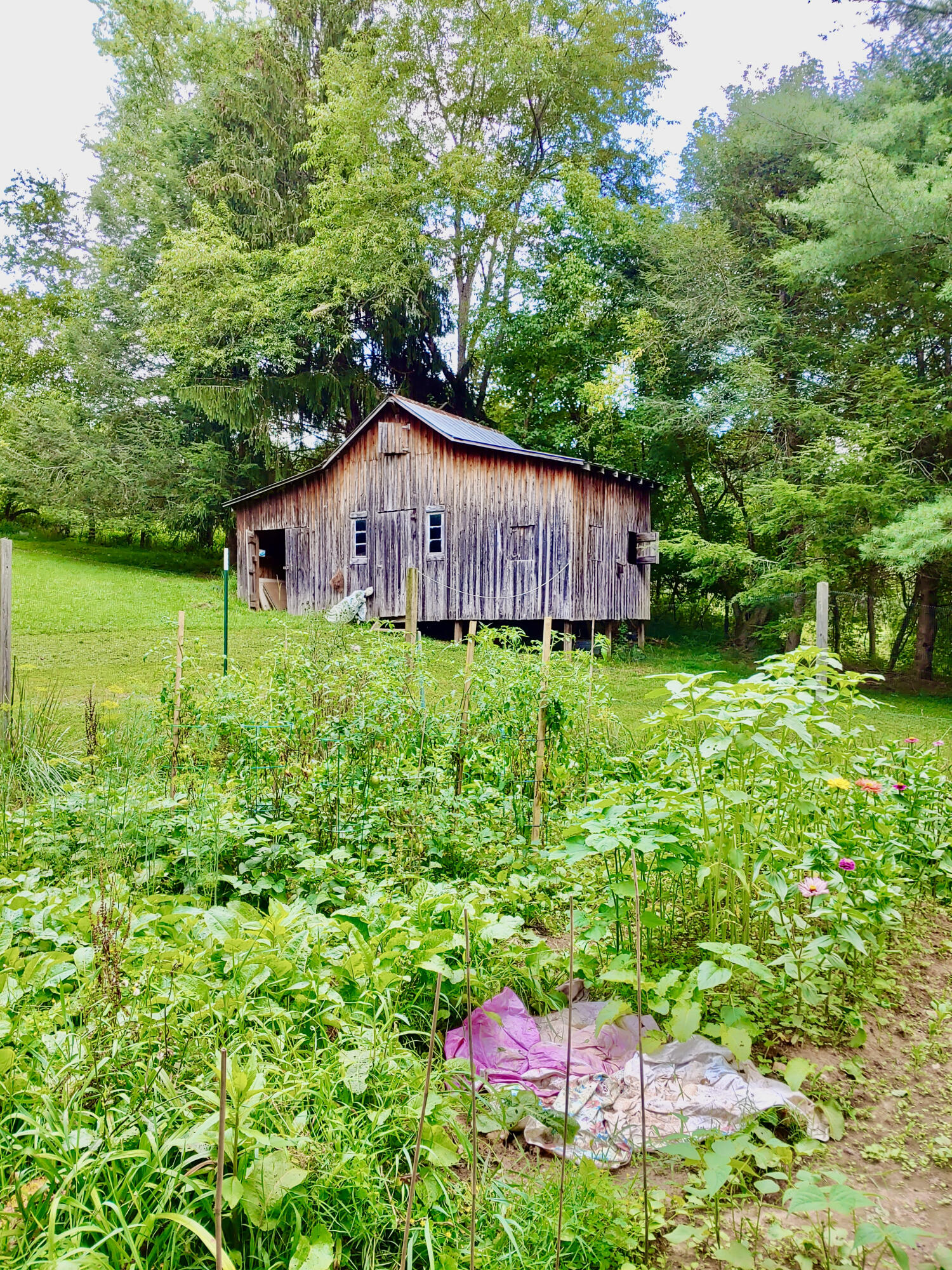 289 Huckleberry Ridge Rd, Floyd, Virginia image 29