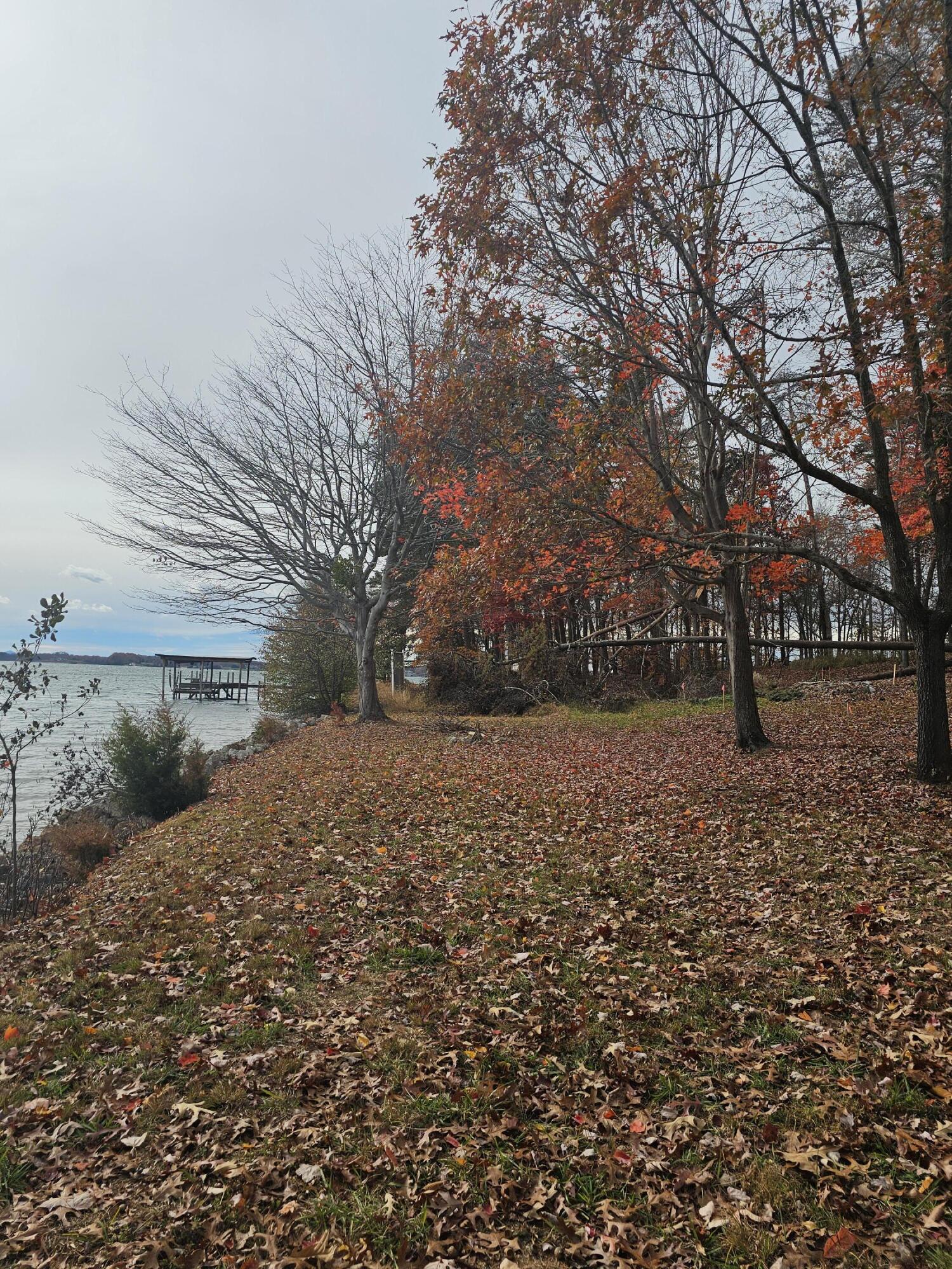 Lot 3 Sigh N Pine Rd, Huddleston, Virginia image 32
