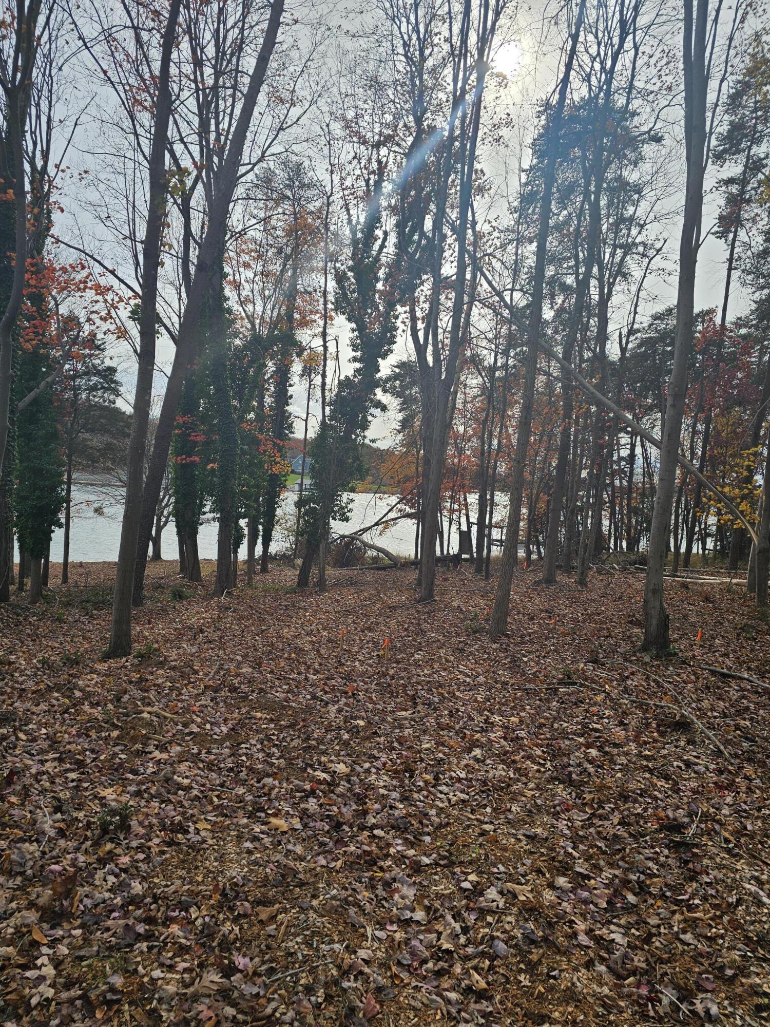 Lot 3 Sigh N Pine Rd, Huddleston, Virginia image 26