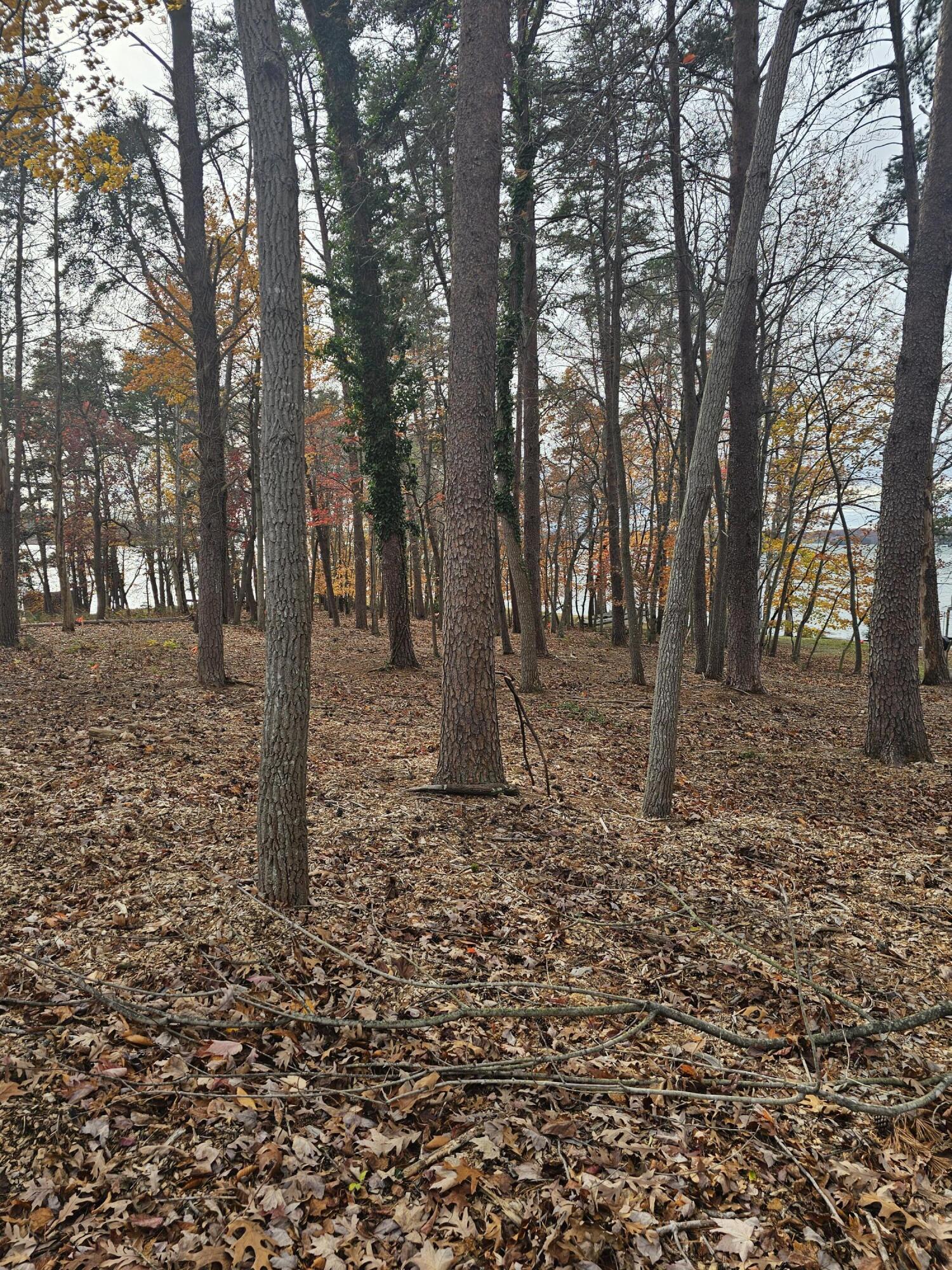 Lot 3 Sigh N Pine Rd, Huddleston, Virginia image 24