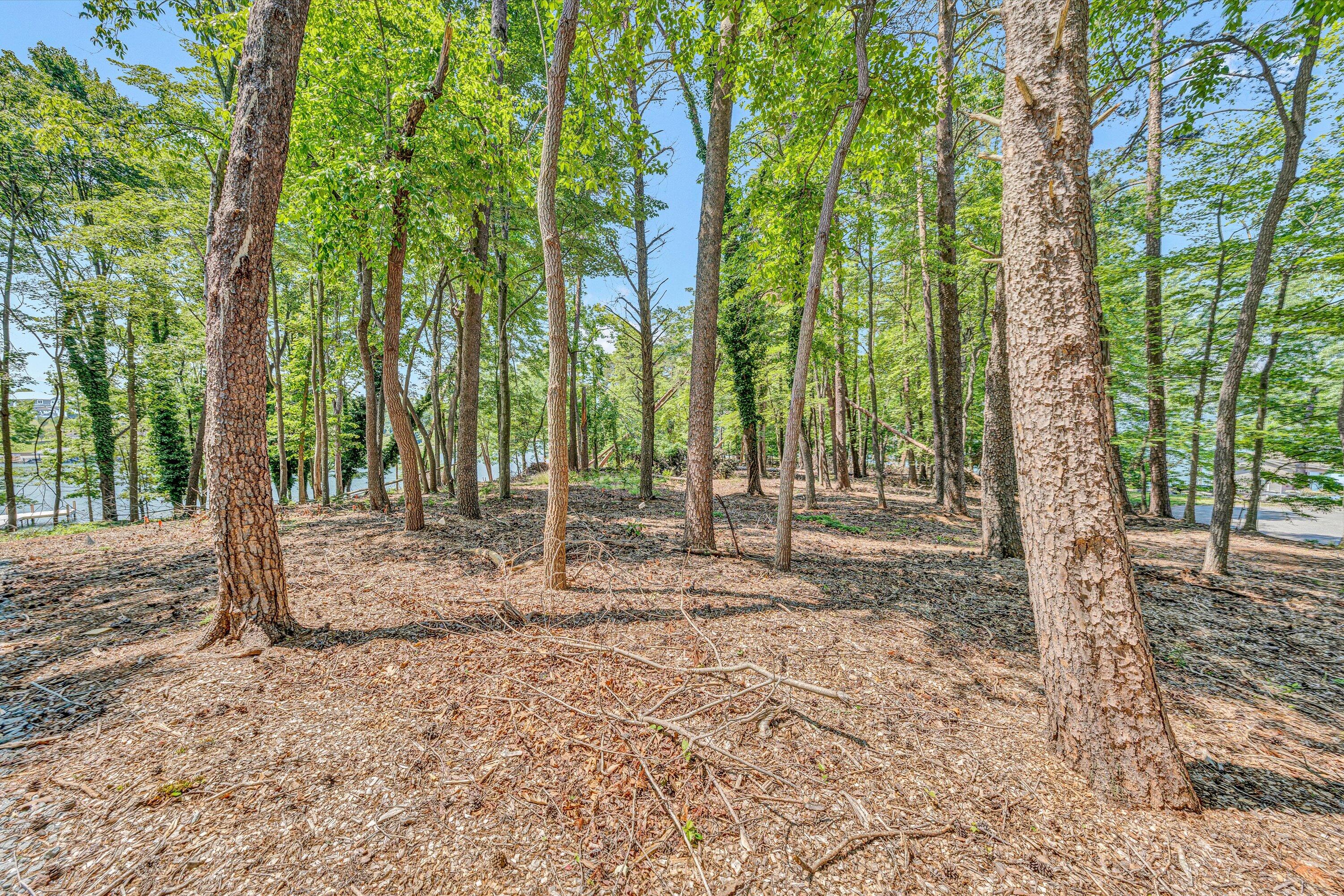 Lot 3 Sigh N Pine Rd, Huddleston, Virginia image 9