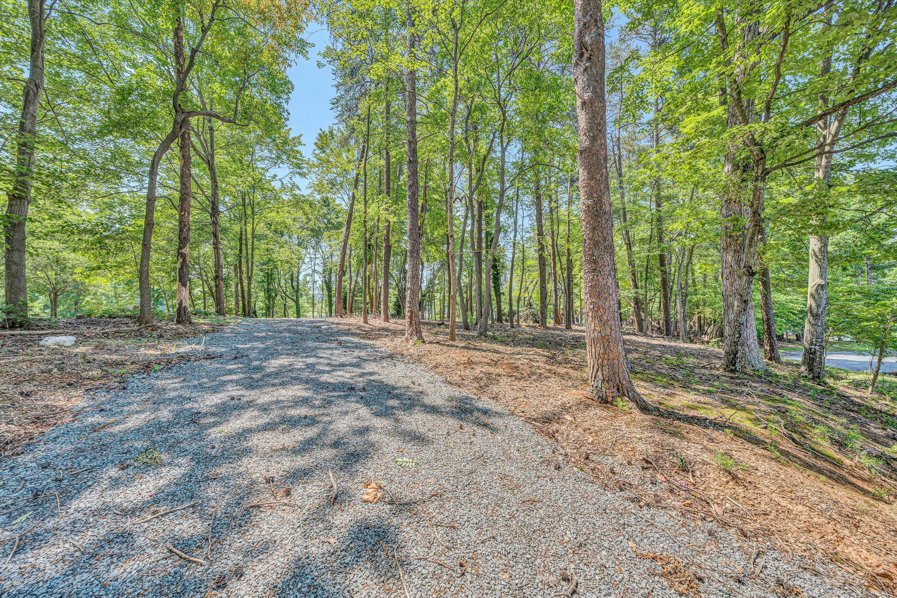 Lot 3 Sigh N Pine Rd, Huddleston, Virginia image 7