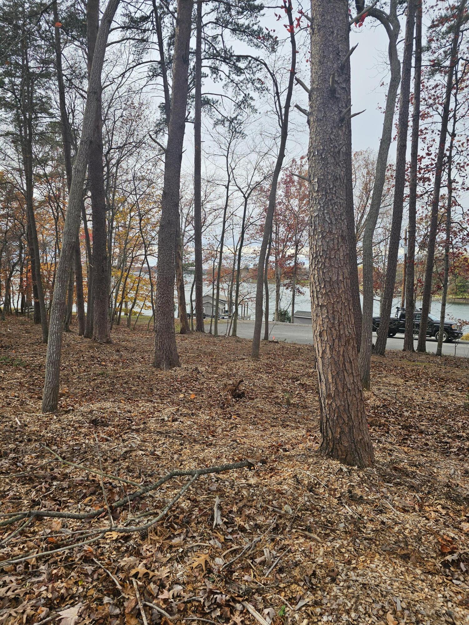 Lot 3 Sigh N Pine Rd, Huddleston, Virginia image 25