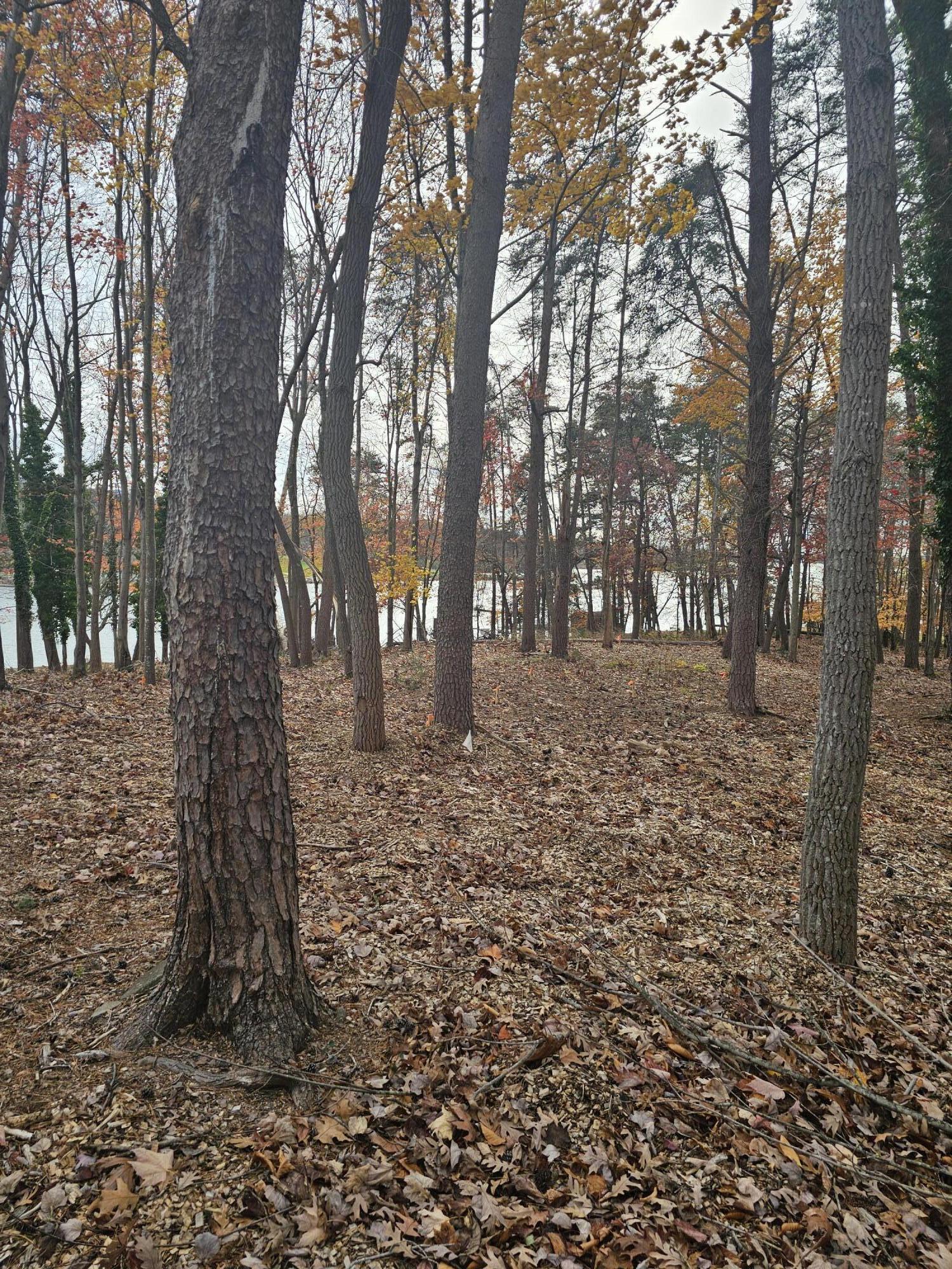 Lot 3 Sigh N Pine Rd, Huddleston, Virginia image 23