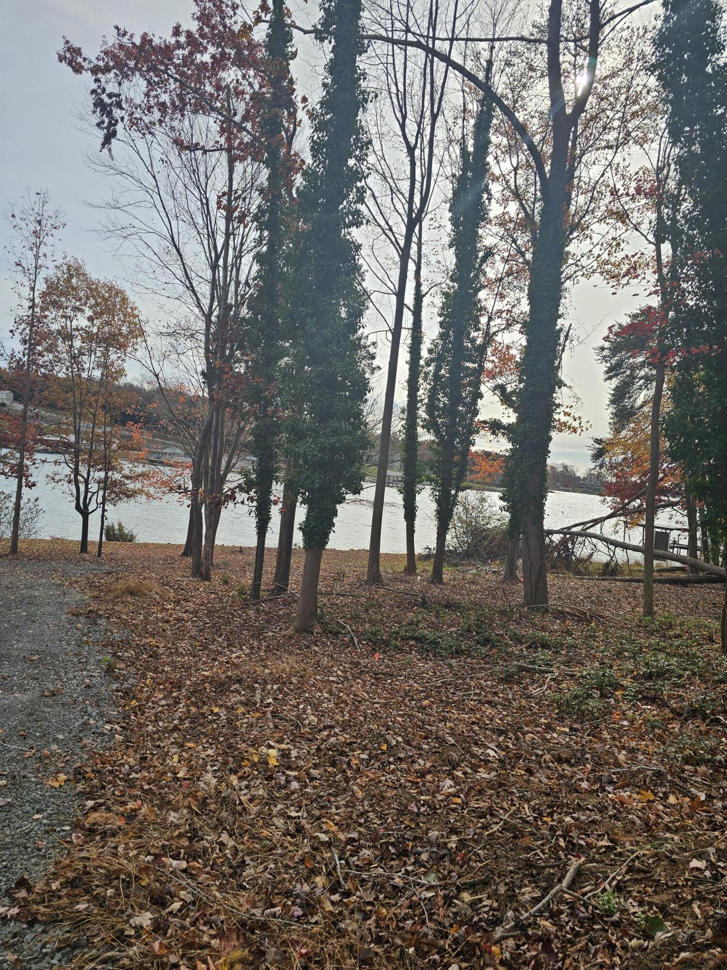 Lot 3 Sigh N Pine Rd, Huddleston, Virginia image 28