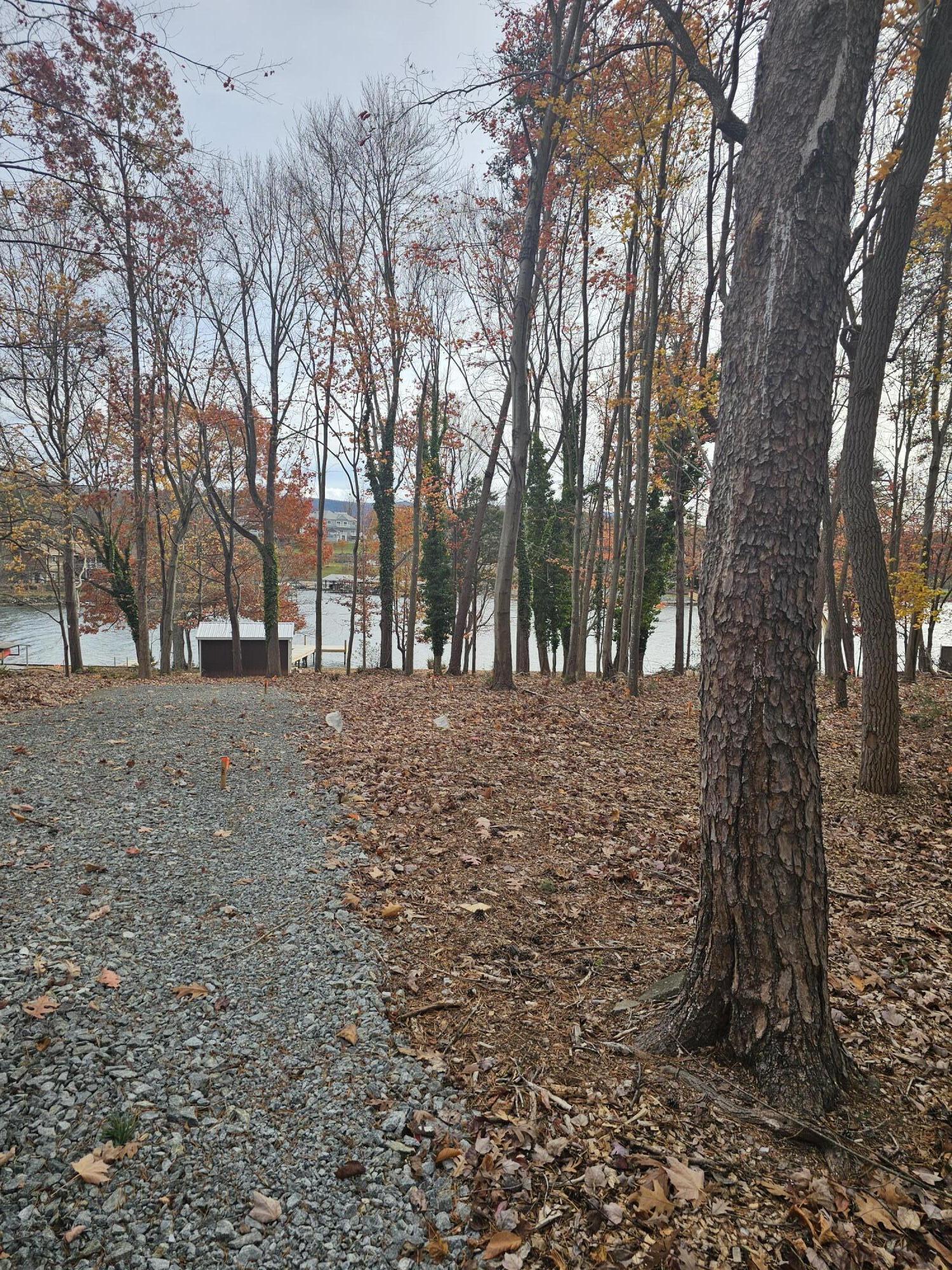 Lot 3 Sigh N Pine Rd, Huddleston, Virginia image 22