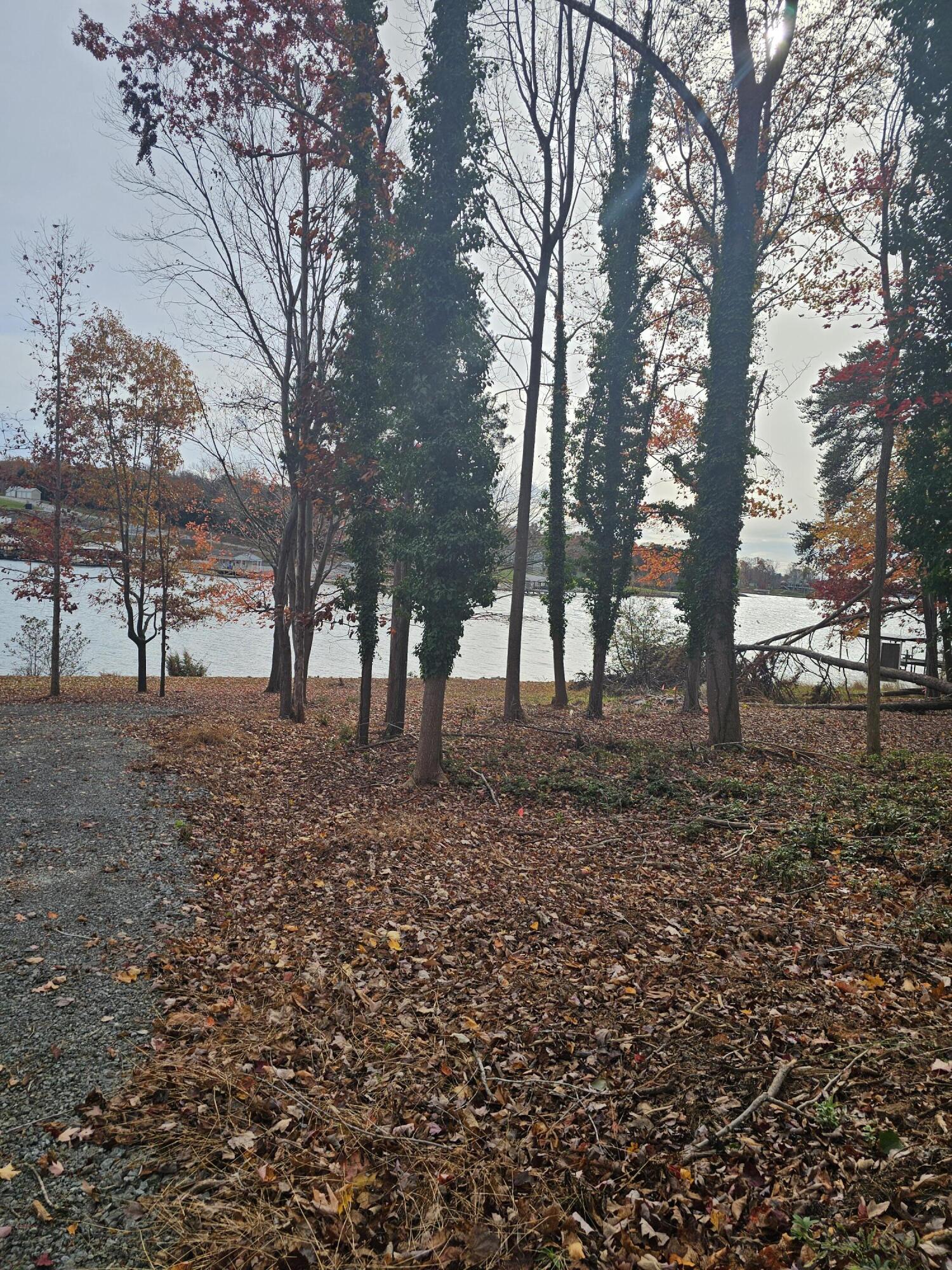 Lot 3 Sigh N Pine Rd, Huddleston, Virginia image 29