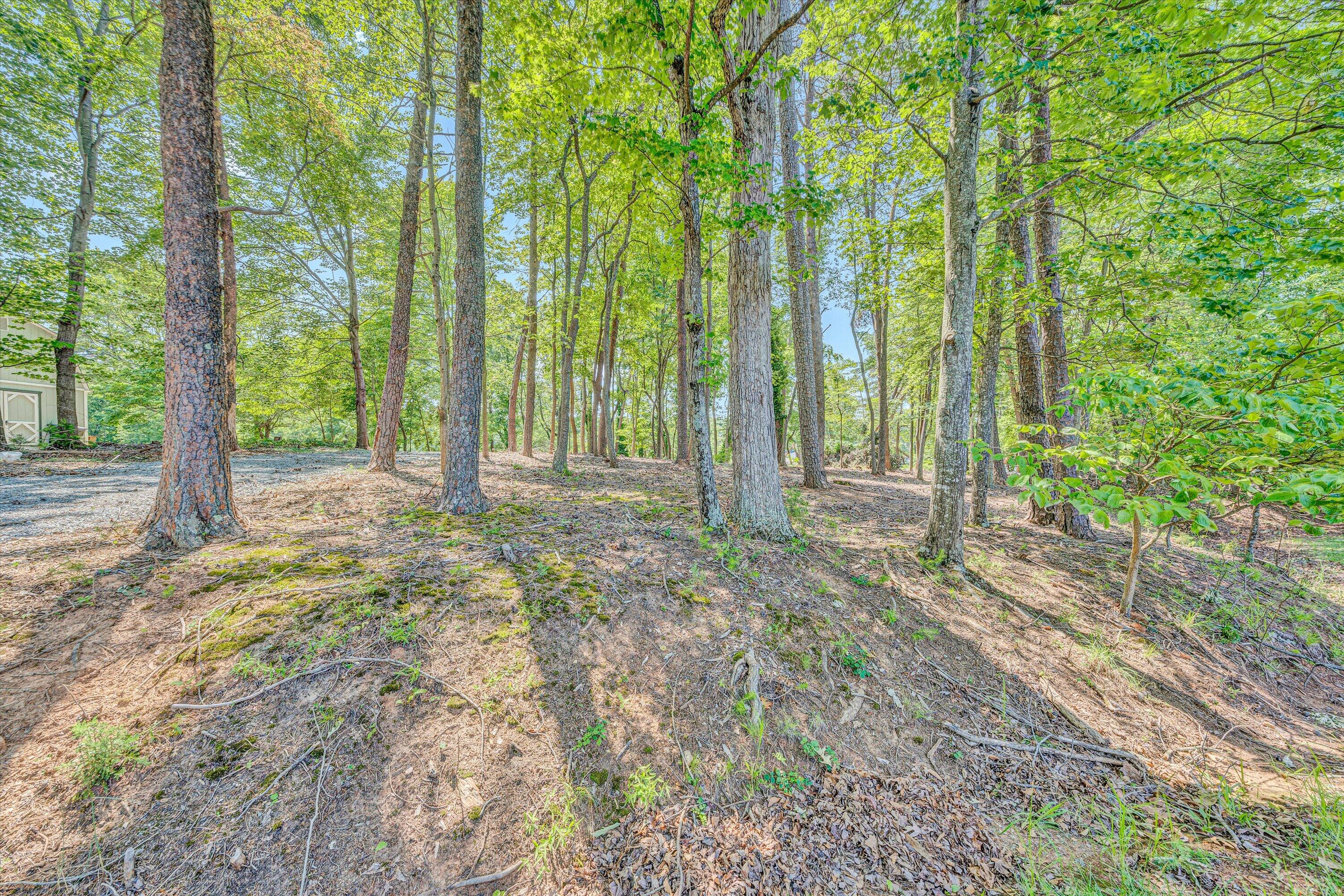 Lot 3 Sigh N Pine Rd, Huddleston, Virginia image 19