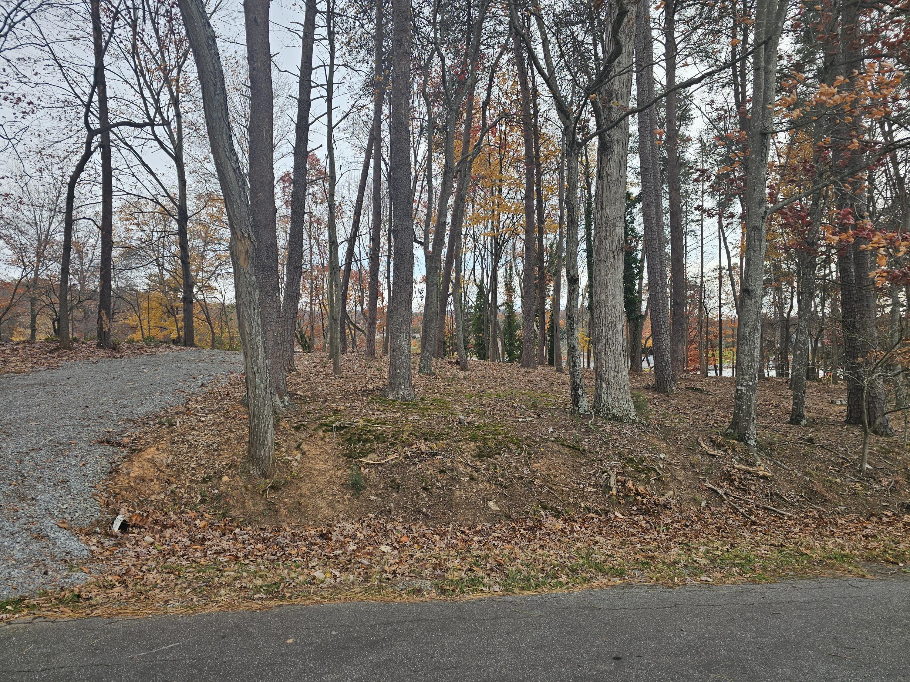 Lot 3 Sigh N Pine Rd, Huddleston, Virginia image 40