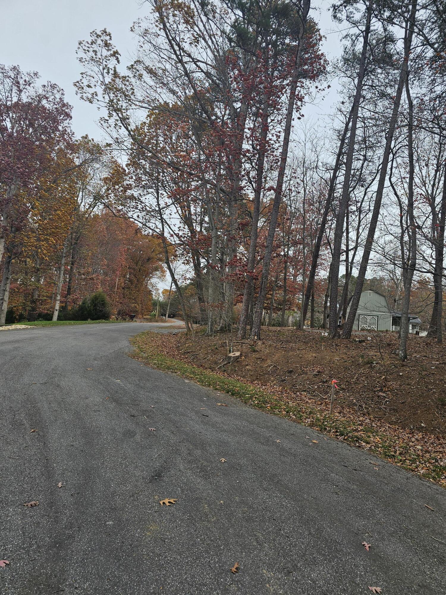 Lot 3 Sigh N Pine Rd, Huddleston, Virginia image 38