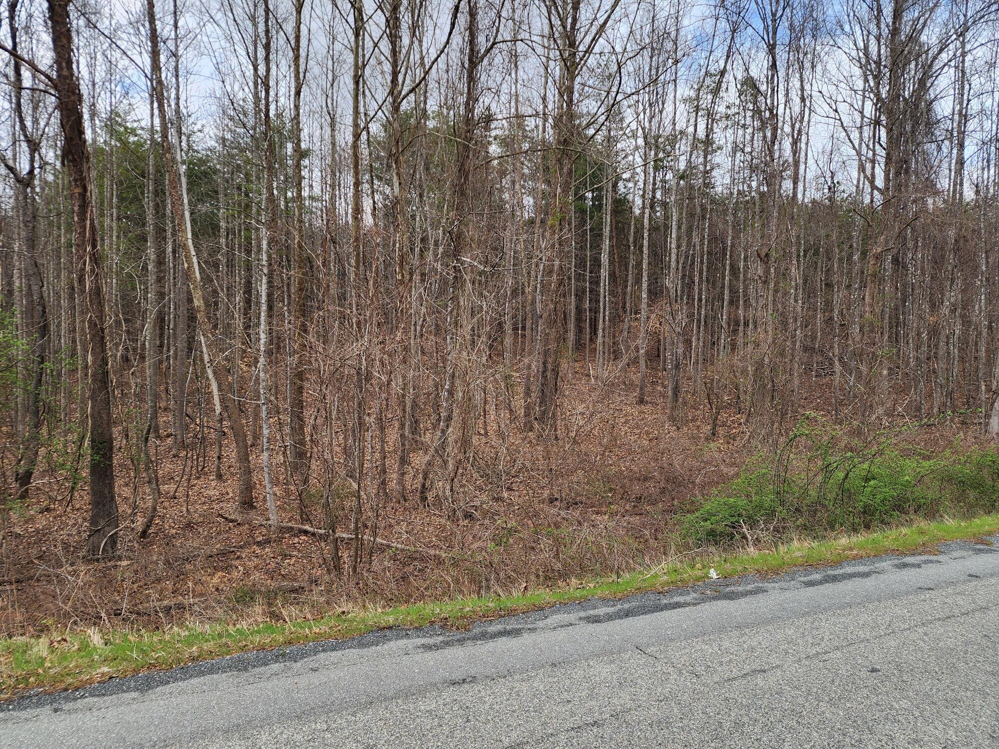 Rocky Mount, Virginia 24151, United States, ,Commercial,Active,220022