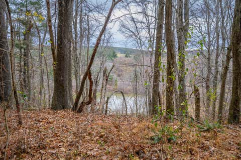Vacant Land For Sale - 595 Wild Cherry Rd<br/> Pilot, VA 24138