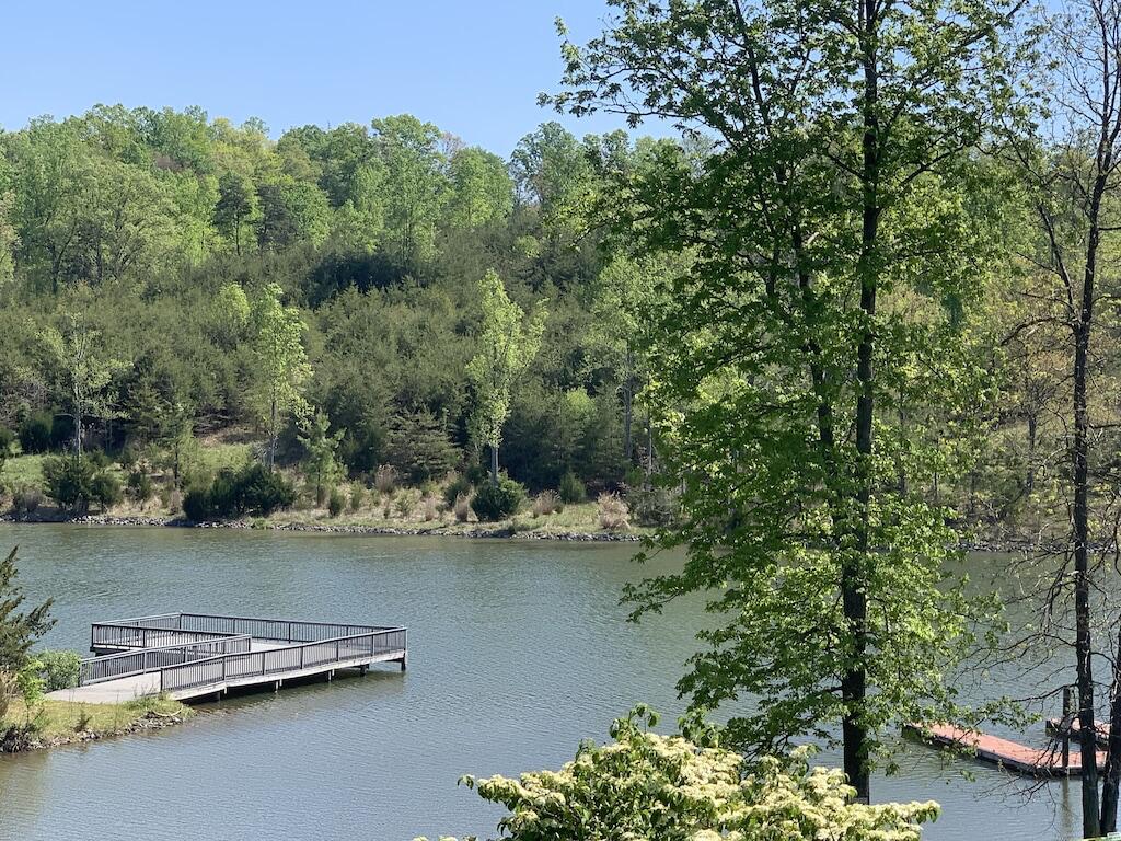 1175 Mariners Way #58, Huddleston, Virginia image 3