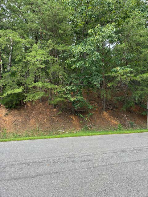 Vacant Land For Sale - Cherokee Hills Dr<br/> Salem, VA 24153