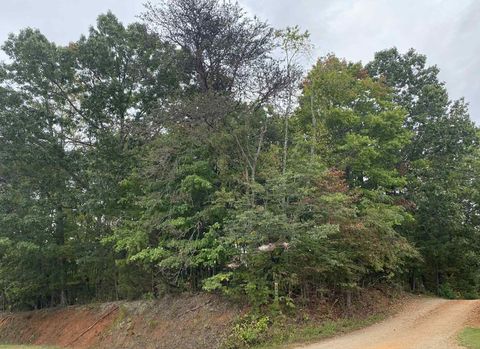 Vacant Land For Sale - 4603 Philpott Dr<br/> Bassett, VA 24055