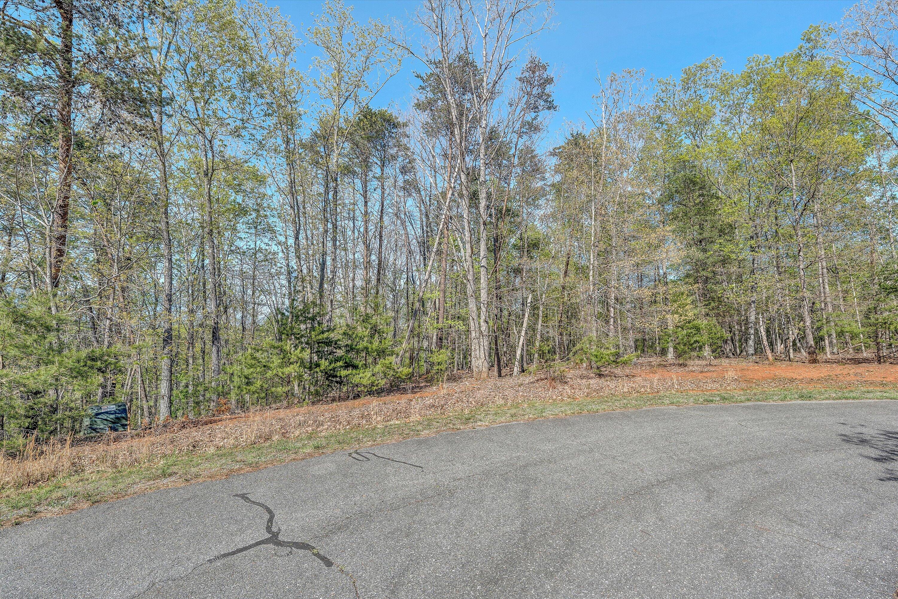Lot 11&12 Robin Ridge Ct, Pittsville, Virginia image 16