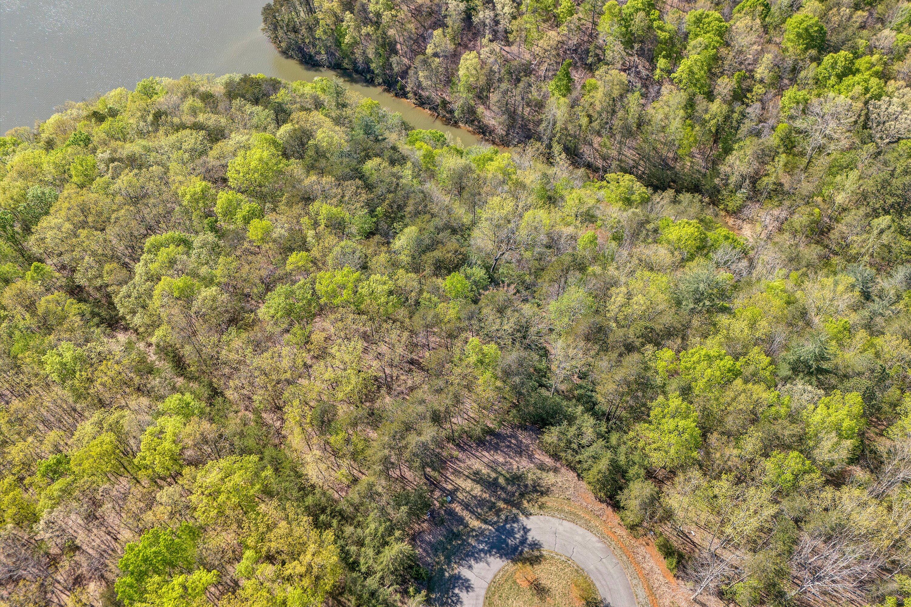 Lot 11&12 Robin Ridge Ct, Pittsville, Virginia image 9