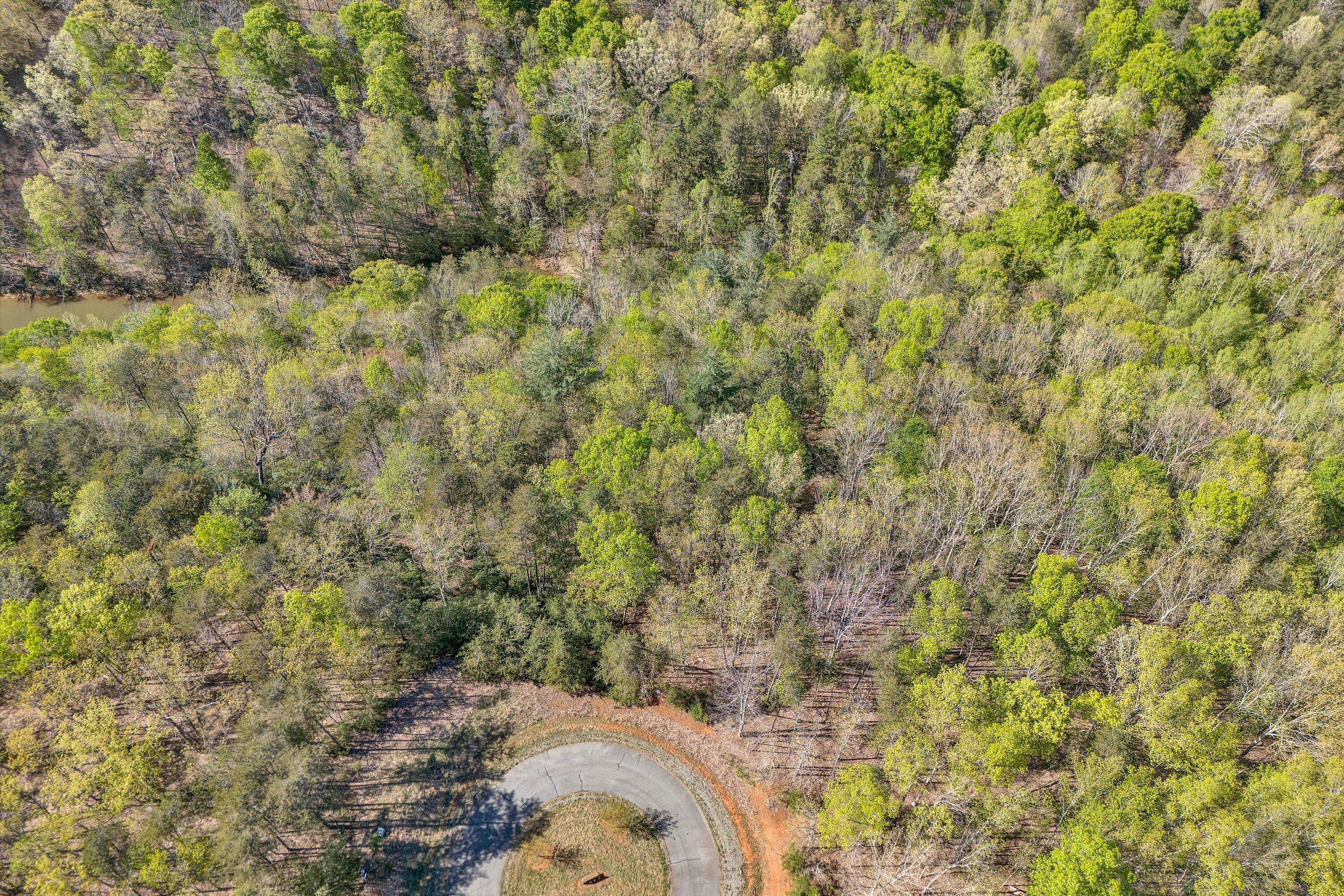 Lot 11&12 Robin Ridge Ct, Pittsville, Virginia image 8