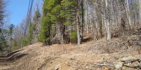 Vacant Land For Sale - Twelve Oclock Knob Rd<br/> Roanoke, VA 24018