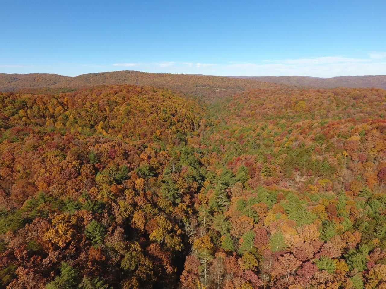 Brook Dr, Hot Springs, Virginia image 2