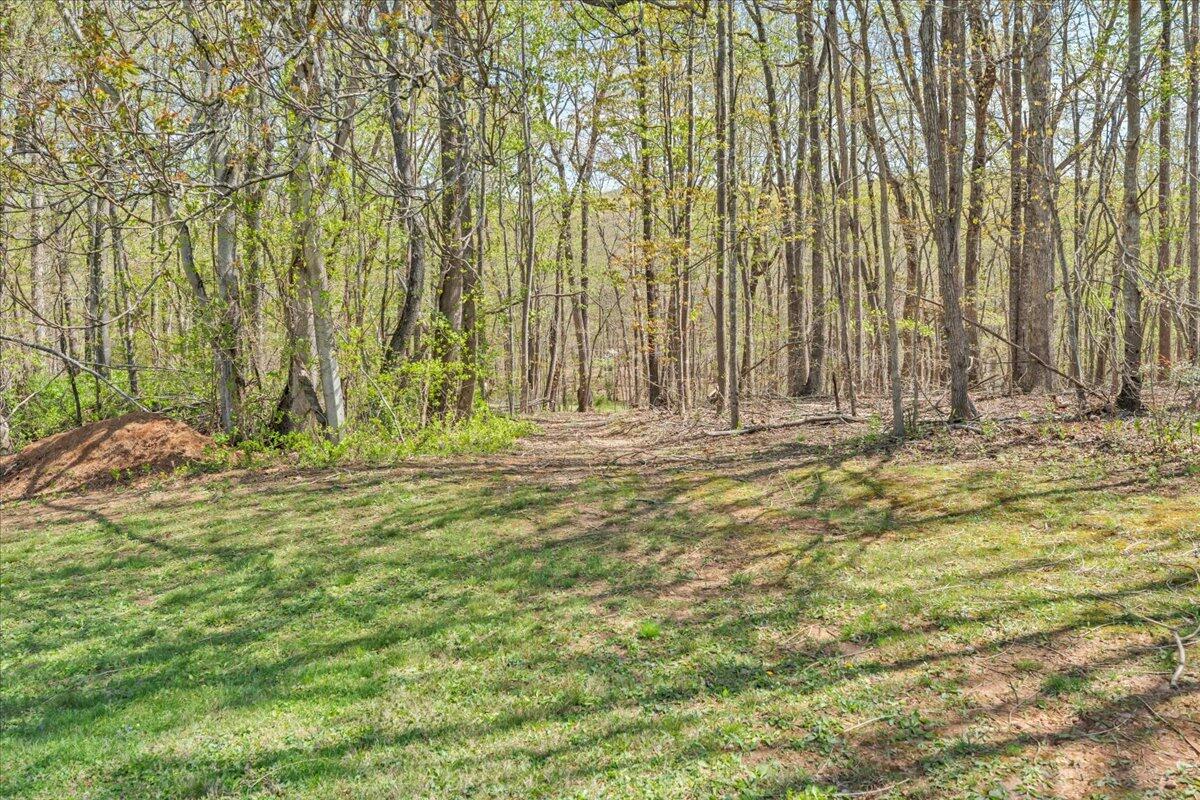 391 Cardinal Ridge Dr, Rocky Mount, Virginia image 29
