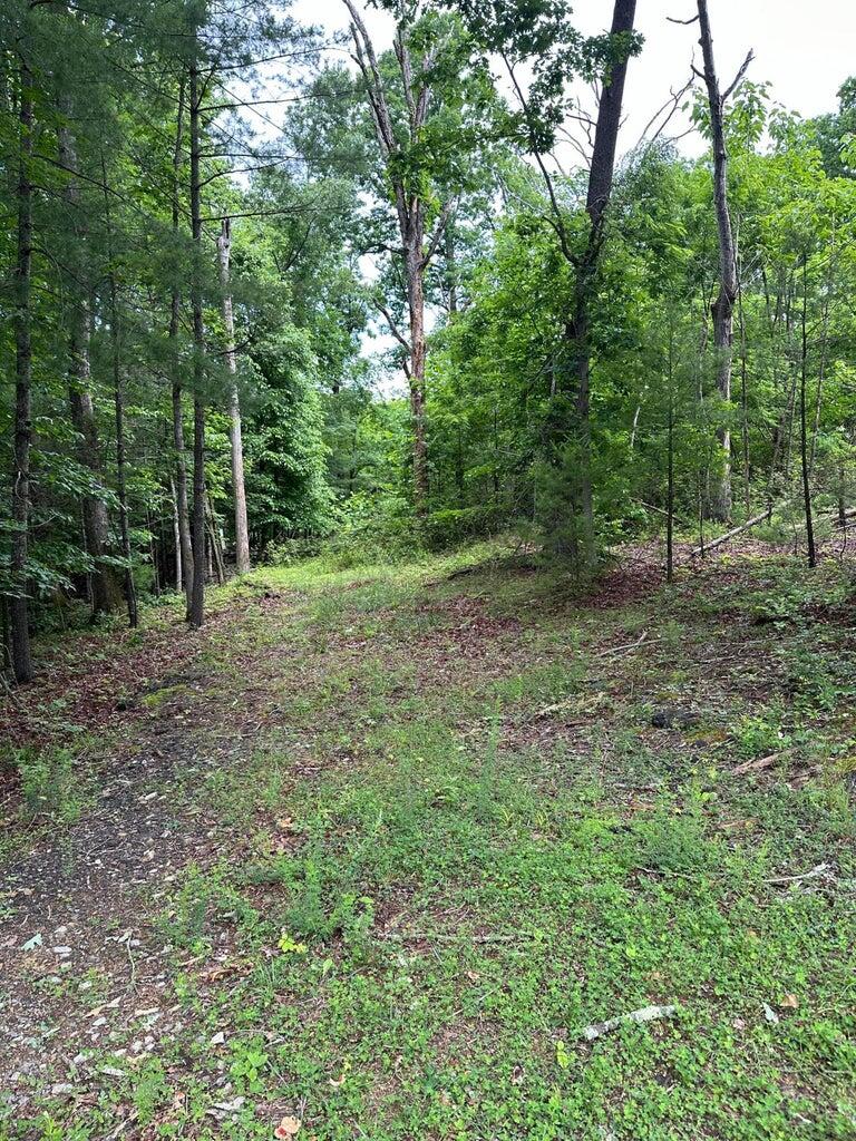 6790 Split Oak Rd, Roanoke, Virginia image 2