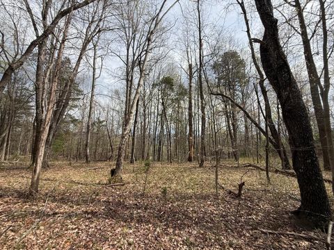 Photo of 0 Back Creek RD, Boones Mill, VA 24065 (MLS # 926087)