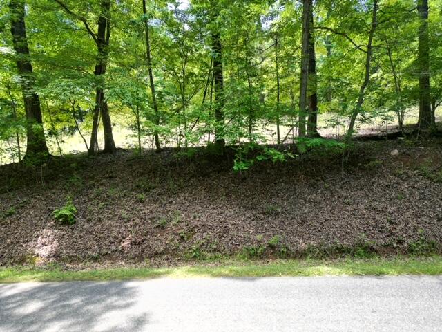 00 Mcneil Mill Rd, Rocky Mount, Virginia image 6