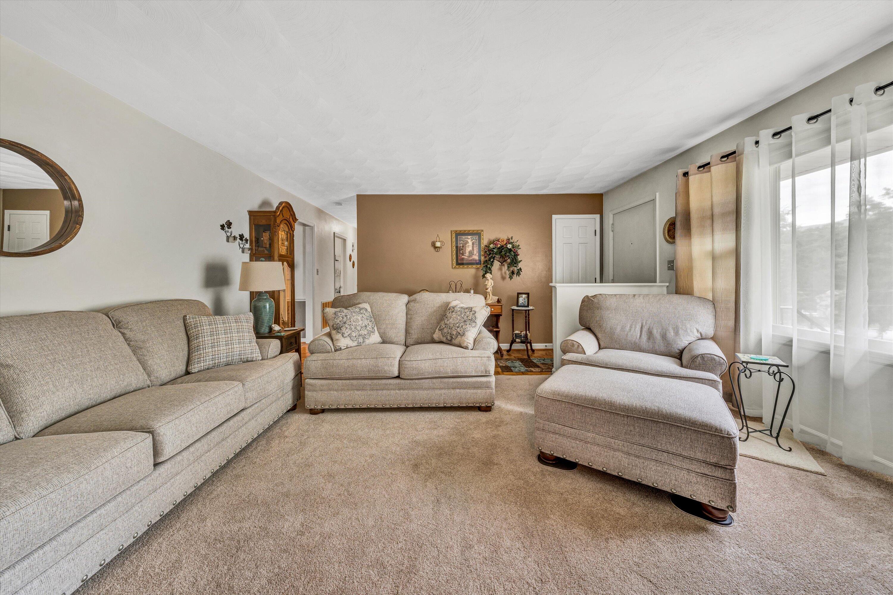 459 Nellie Cir, Salem, Virginia image 13