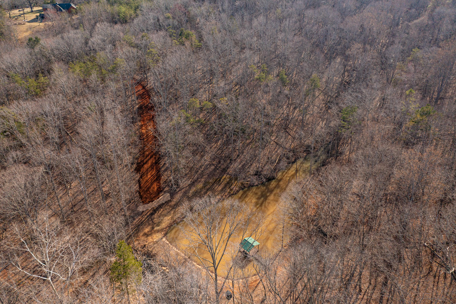 Venturous Trl, Goode, Virginia image 8