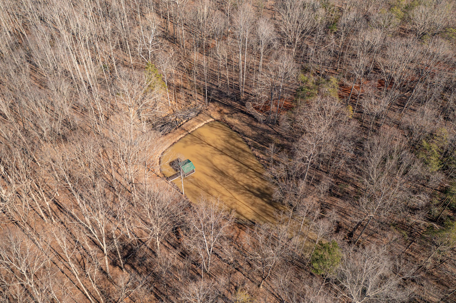 Venturous Trl, Goode, Virginia image 9