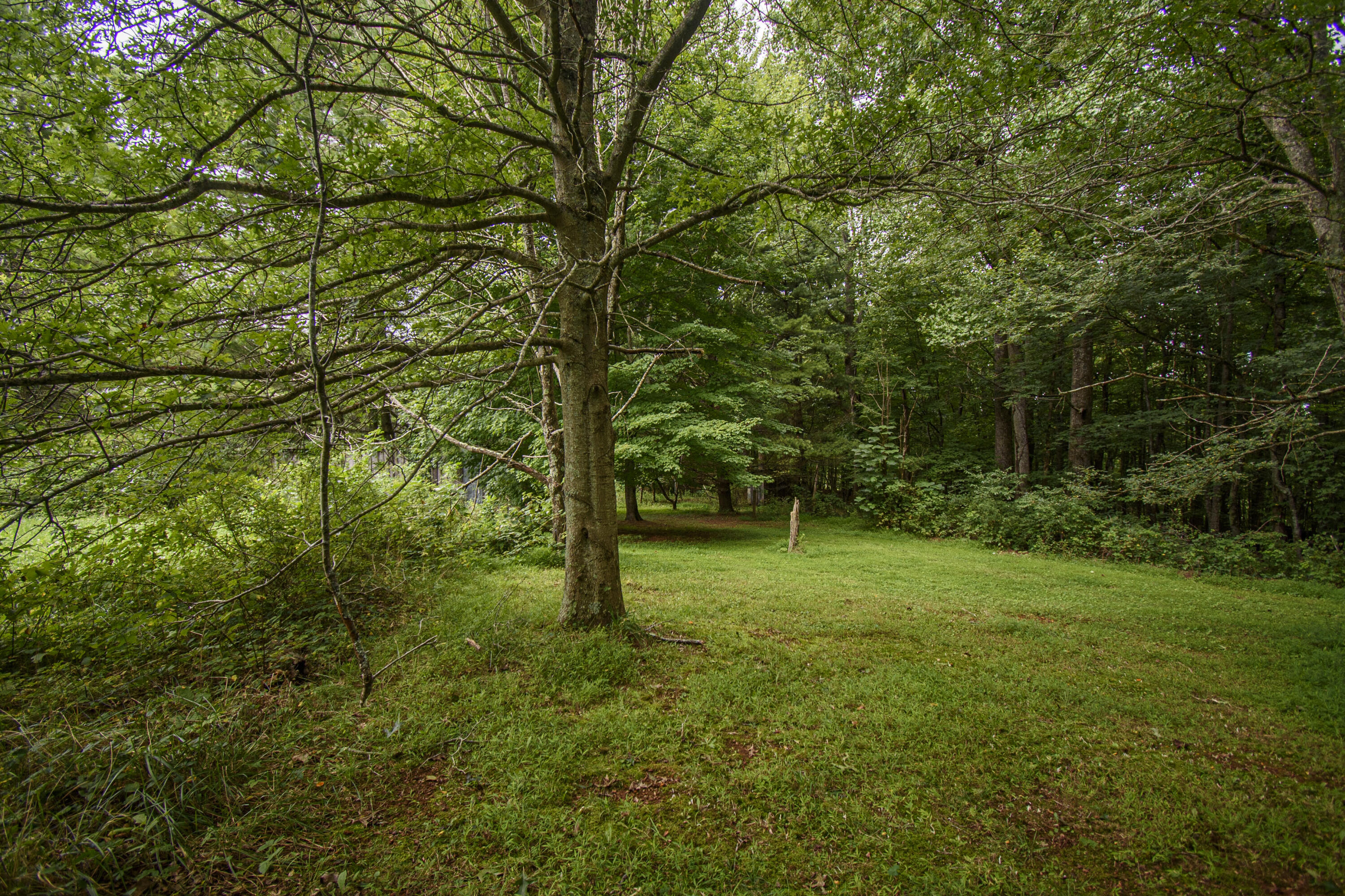 769 Turnip Patch Rd, Meadows of Dan, Virginia image 46