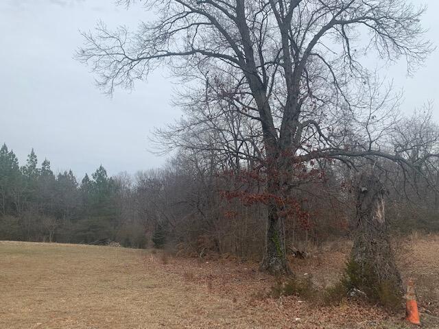 Lot 2 Shingle Block Rd, Bedford, Virginia image 2