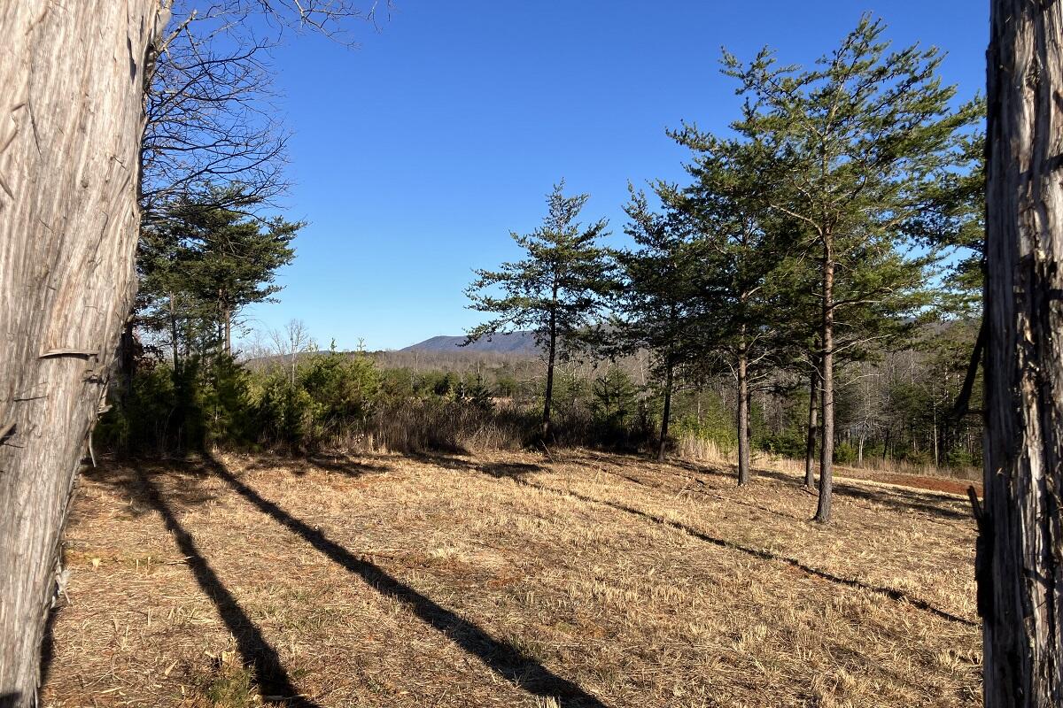 LOT 5 Jfk Blvd, Union Hall, Virginia image 13